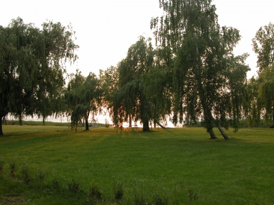 Balatonszárszón vízközeli ikerházfél max. 8 főnek