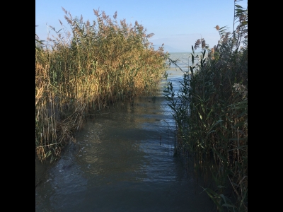 Balatonmáriafürdőn a Balatontól 500 méterre önálló jakuzzis nyaraló  kiadó