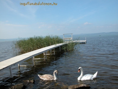 Luxus minimál villa saját stranddal, jakuzzival